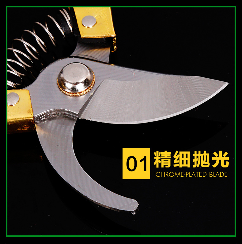 果枝剪修枝剪省力耐用多功能园艺剪刀手动果树剪园林工具详情7