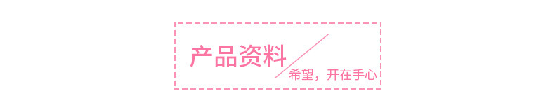 仿真9头千层菊家居场景装饰配景客厅会所摆放配饰假花摄影道具详情121
