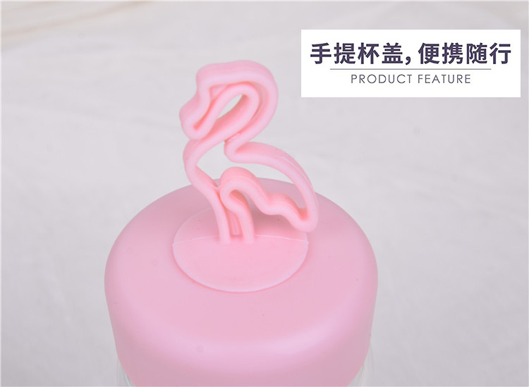 促销礼品印logo慕色小清新手提玻璃杯学生便携随手杯可爱卡通水杯详情7