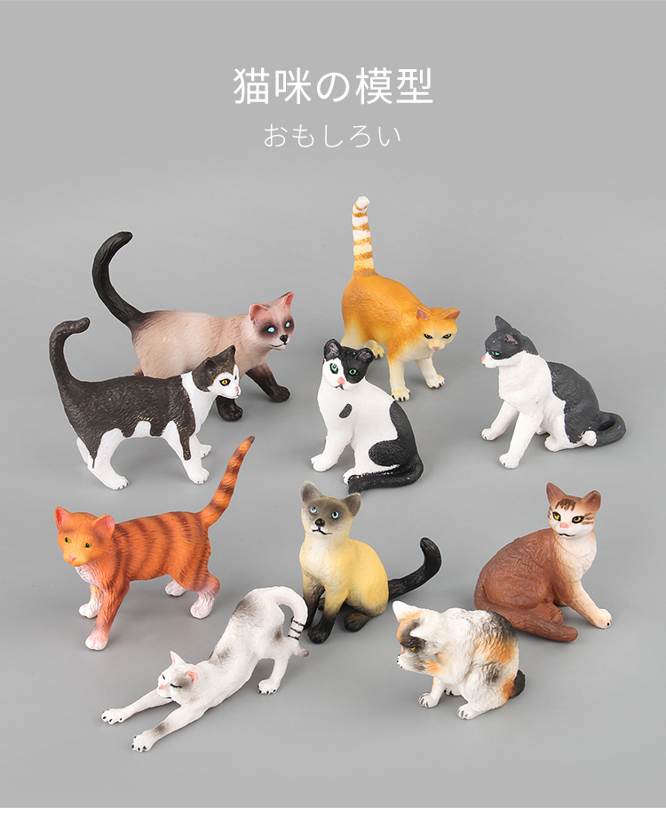贝壳鱼动物猫咪模型玩具仿真多款家猫小猫造型宠物装饰动植物模型详情2