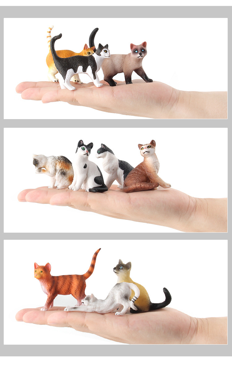 贝壳鱼动物猫咪模型玩具仿真多款家猫小猫造型宠物装饰动植物模型详情25