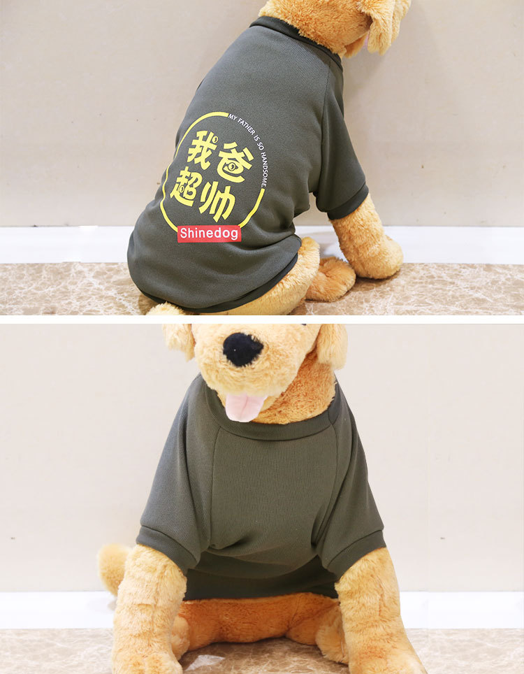 Fabricante al por mayor cachorro grande golden reather satmo husky edge fake cat ropa de otoño e invierno productos para mascotas ropa pic 17