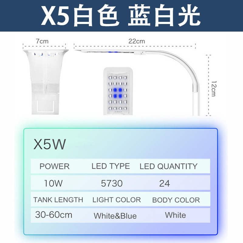 X5 白色 蓝白光