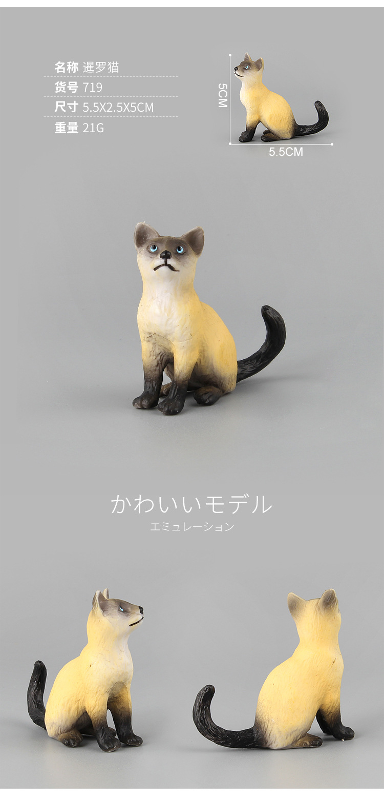 贝壳鱼动物猫咪模型玩具仿真多款家猫小猫造型宠物装饰动植物模型详情17