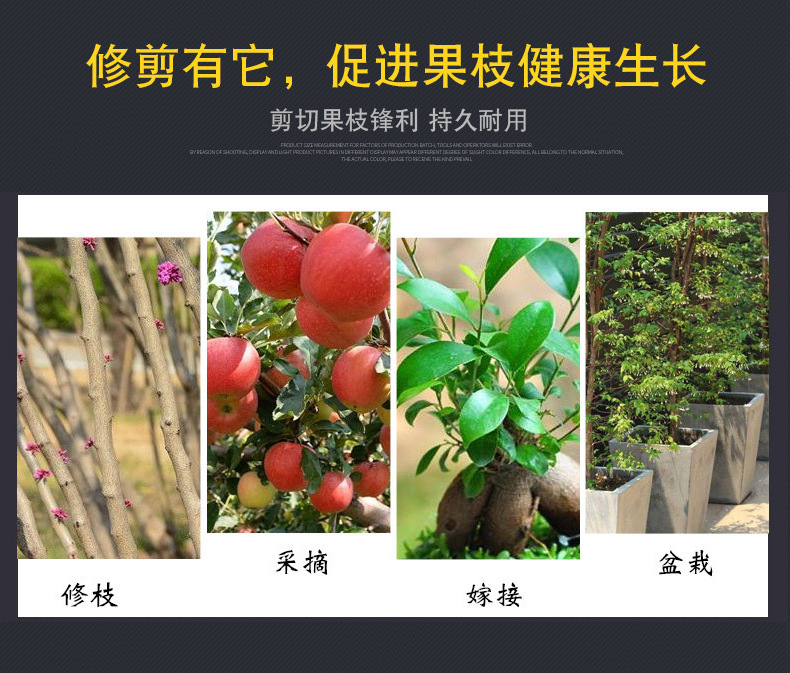 果枝剪修枝剪省力耐用多功能园艺剪刀手动果树剪园林工具详情2