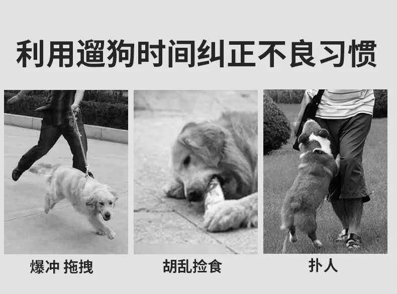 批发尼龙P链牵引绳外出遛狗绳训犬P绳自动收紧伸缩狗绳狗牵引绳详情1