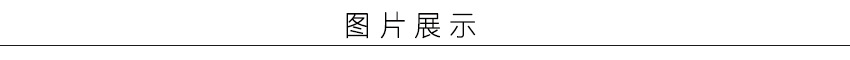 欧美时尚大气百搭金色多款流苏钛钢耳坠小众新款轻奢耳饰精致详情4