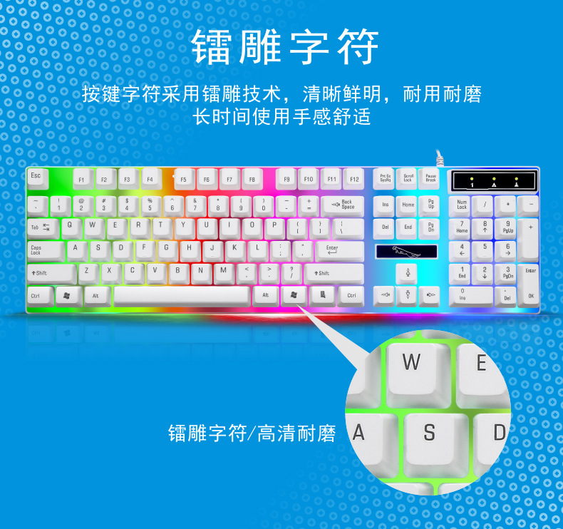 G21套装网图13