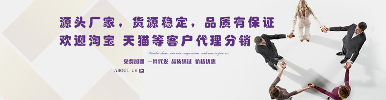 夏季用品 汽车前档玻璃遮阳挡车载镭射太阳挡 隔热防晒遮阳前挡详情2