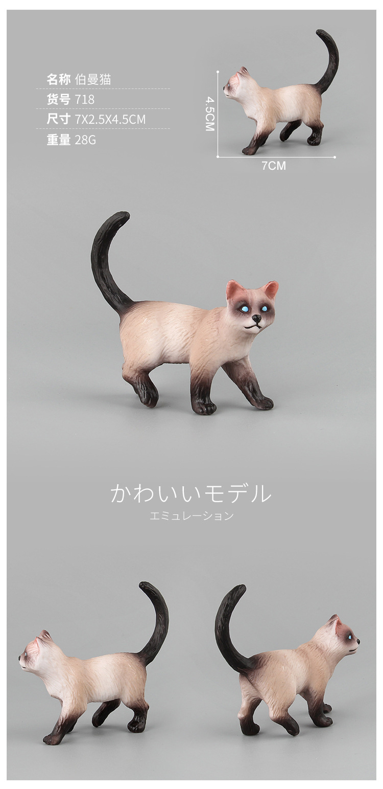 贝壳鱼动物猫咪模型玩具仿真多款家猫小猫造型宠物装饰动植物模型详情14