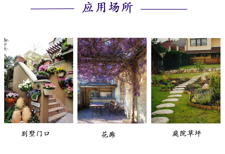 冰砖_14