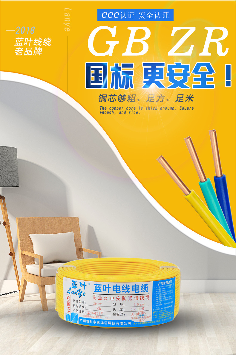 Blue Leaf National standard 2.54 square copper core wire for home decoration, 1.5/6/10 pure copper flame-retardant BV wire pic 10