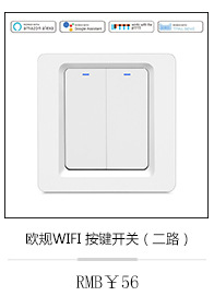 The European-standard WiFi socket smart socket supports alexa voice control pic 3