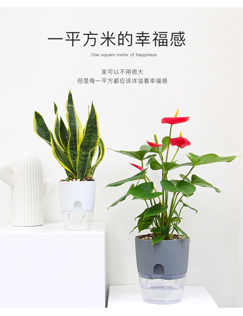 跨境工厂现货批发透明塑料懒人花盆双层简约自吸水棉绳亚马逊园艺详情45