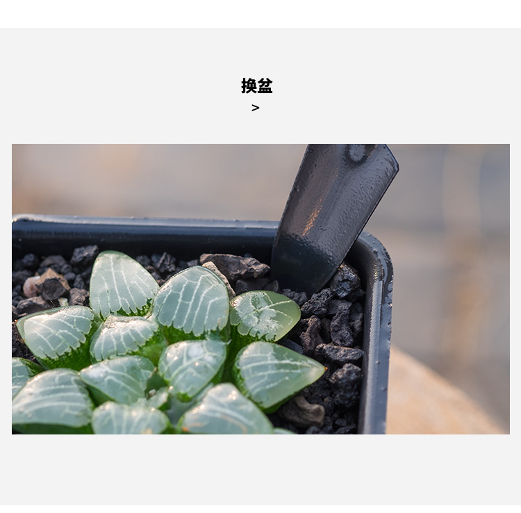 批发花园种花多肉园林种植工具套装小铁铲铁耙子园艺三件套一套起详情6