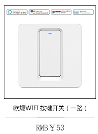 The European-standard WiFi socket smart socket supports alexa voice control pic 2