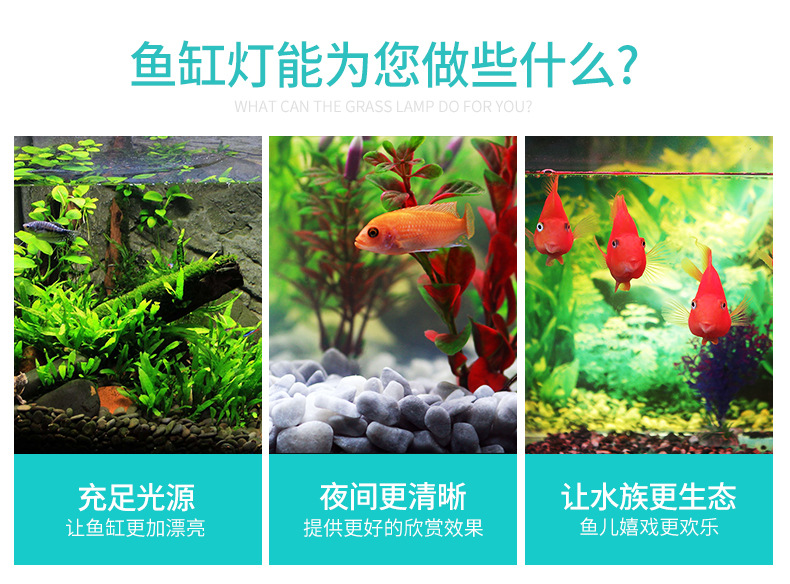 水族馆LED照明 水草灯架 高品质鱼缸灯带可伸缩支架白色白蓝光详情5