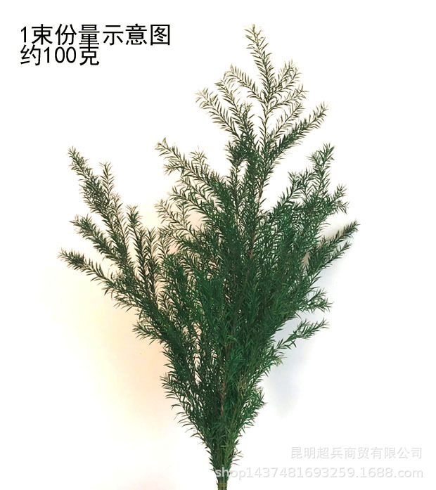 QQ图片20191224141249.jpg