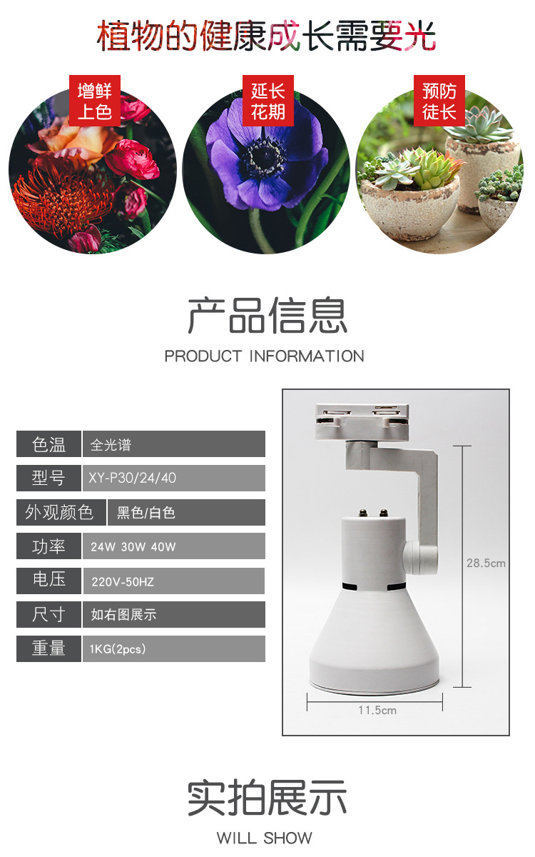 Full-spectrum indoor rainforest landscape plant landscaping lights, micro-landscape supplementary lights, P30 track spotlights pic 4