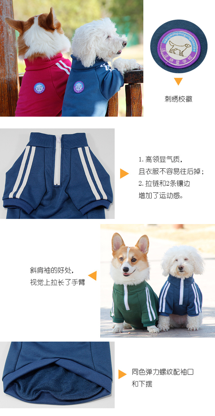 宠它校园风宠物卫衣泰迪比熊雪纳瑞柯基衣服运动复古狗狗衣服代发详情5