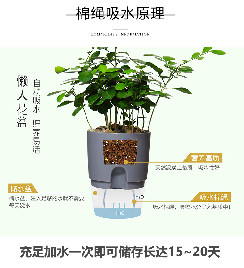 跨境工厂现货批发透明塑料懒人花盆双层简约自吸水棉绳亚马逊园艺详情38