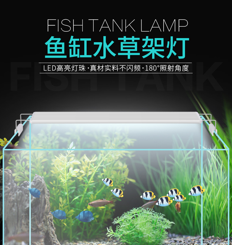 水族馆LED照明 水草灯架 高品质鱼缸灯带可伸缩支架白色白蓝光详情3