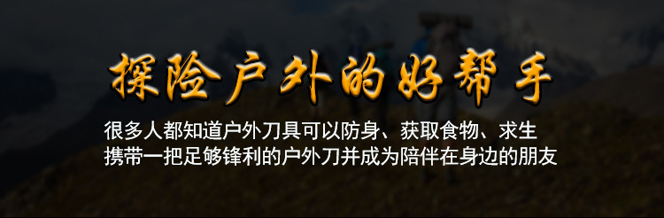 Stainless steel folding knife with keychain, outdoor knife, multi-functional folding knife, edc fruit knife pic 3