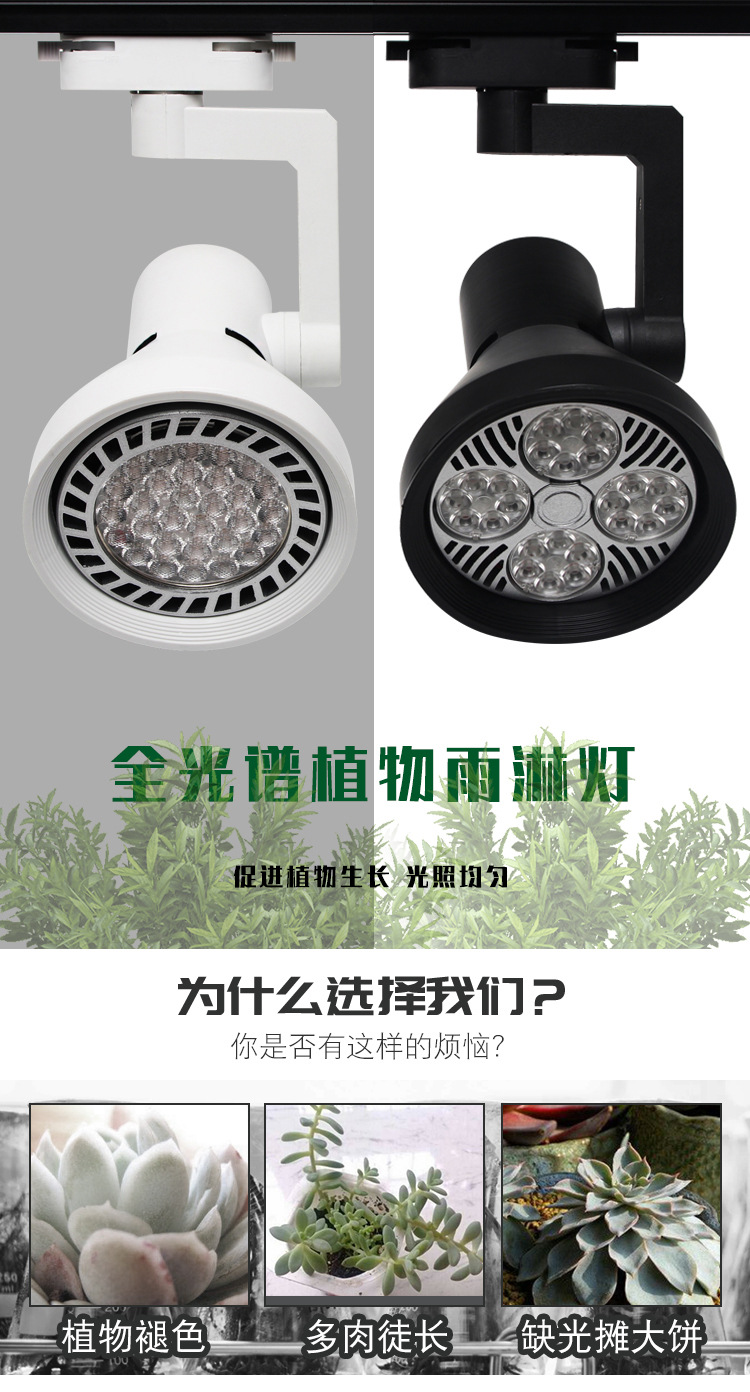 Full-spectrum indoor rainforest landscape plant landscaping lights, micro-landscape supplementary lights, P30 track spotlights pic 3