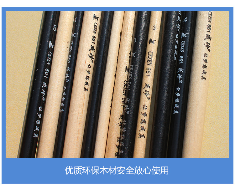 Chengzhen venta directa de fábrica pólo negro pólo blanco pincel de aceite cerdas de cerdas pincel de acrílico pincel de pincel duro solo pincel de pintura pic 14