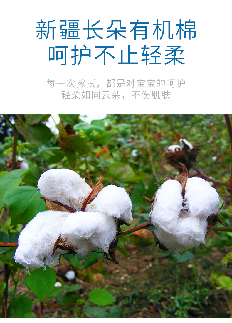 工厂直销婴儿湿巾80抽纯水护理湿纸巾厂家直供保湿婴童详情4