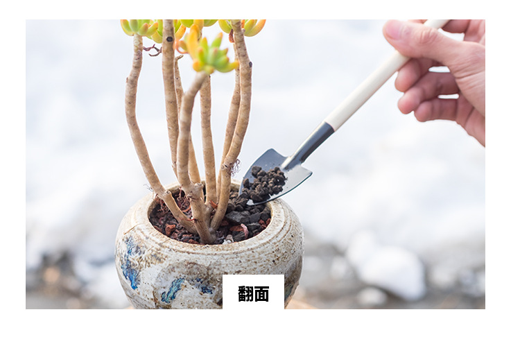 批发花园种花多肉园林种植工具套装小铁铲铁耙子园艺三件套一套起详情5