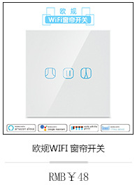 The European-standard WiFi socket smart socket supports alexa voice control pic 15