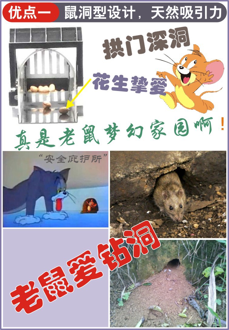 B2优点一鼠洞型01