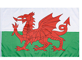 2026美加墨世界杯球迷产品密丝绒高帽足球造型国旗帽子助威道具详情28