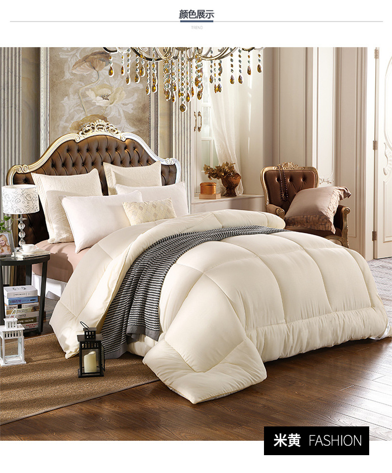 Wholesale of spring and autumn quilts, thickened and warm winter quilts, and single and double student winter quilts for all four seasons pic 14