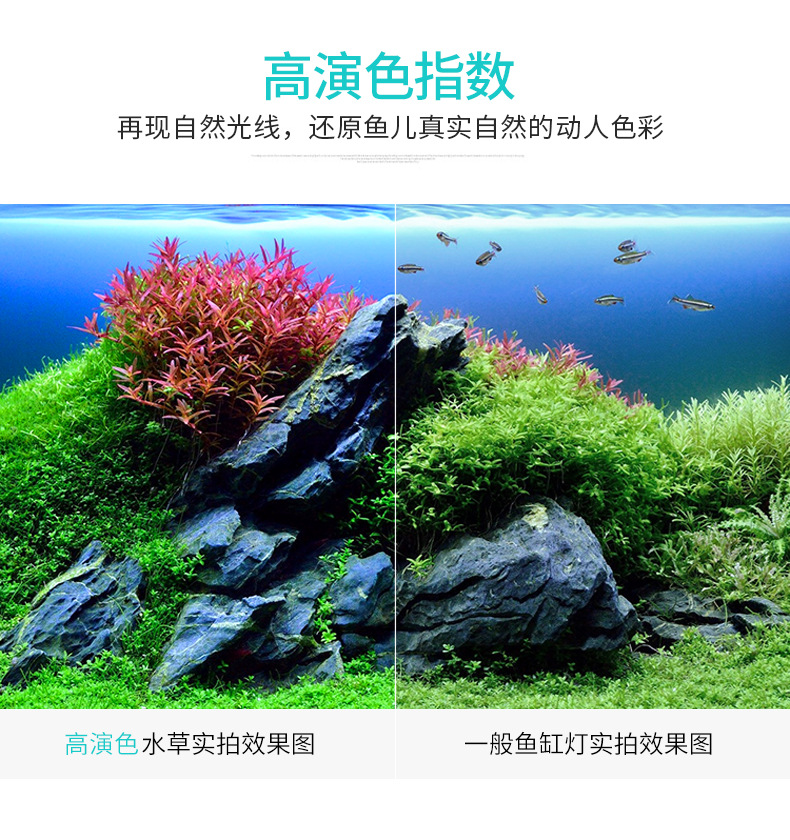 水族馆LED照明 水草灯架 高品质鱼缸灯带可伸缩支架白色白蓝光详情9