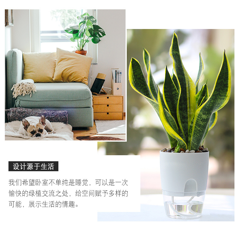 跨境工厂现货批发透明塑料懒人花盆双层简约自吸水棉绳亚马逊园艺详情35