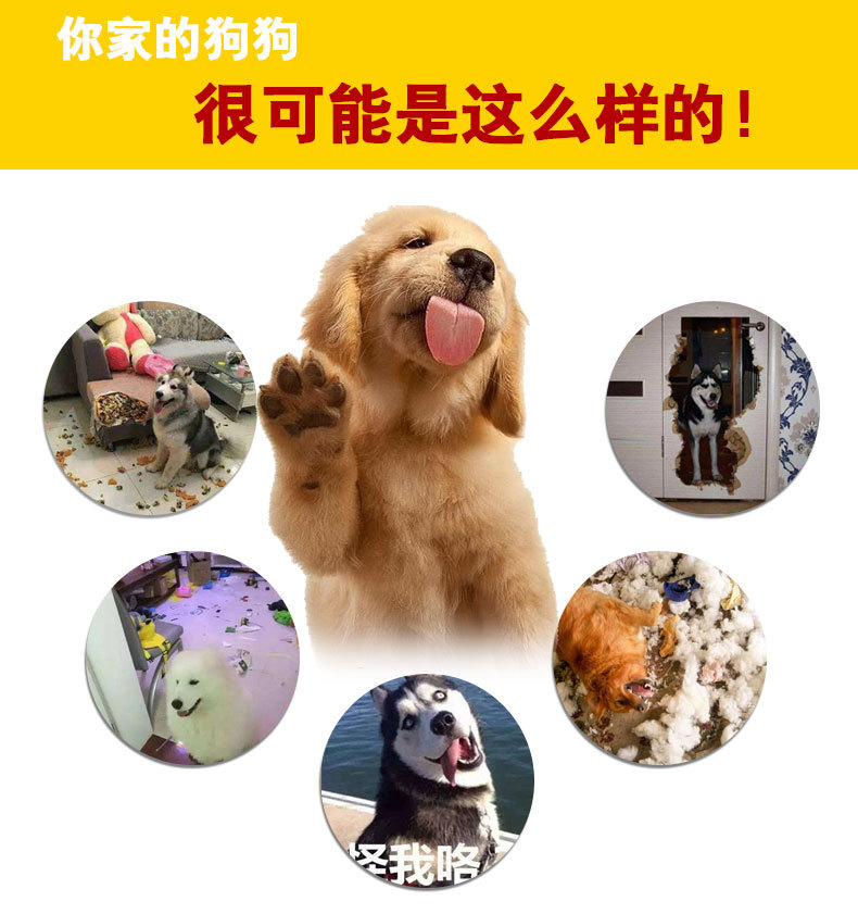 西瓜球效果图03