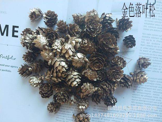 落叶松金色.jpg