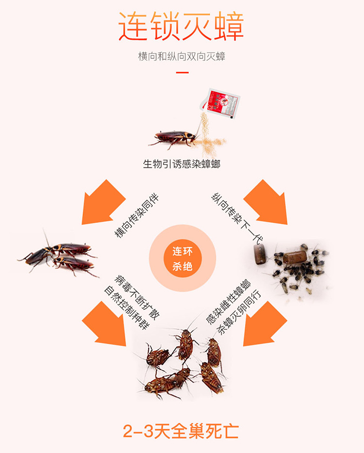 红蟑详情页_11.jpg