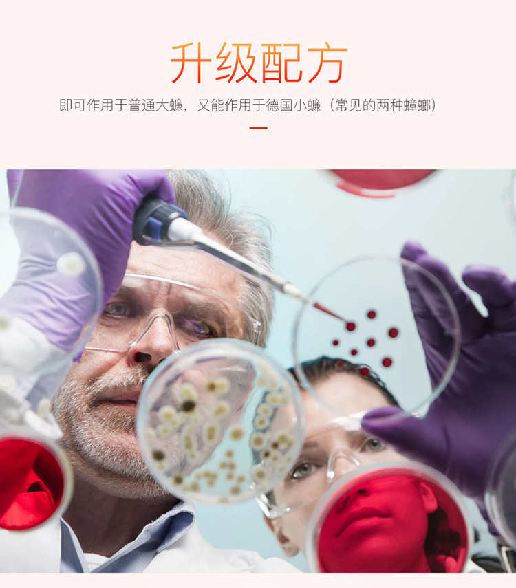 红蟑详情页_12.png