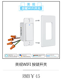 The European-standard WiFi socket smart socket supports alexa voice control pic 6