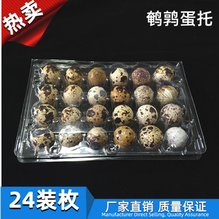 现货鹌鹑蛋包装盒20枚鹌鹑蛋礼盒 pvc包装现货 一次性鹌鹑蛋托详情6