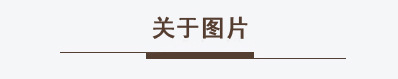 Wholesale of simulated corn bread, cookies, popsicles, resin accessories, crocs, food toys, diy materials, pj1137 pic 2