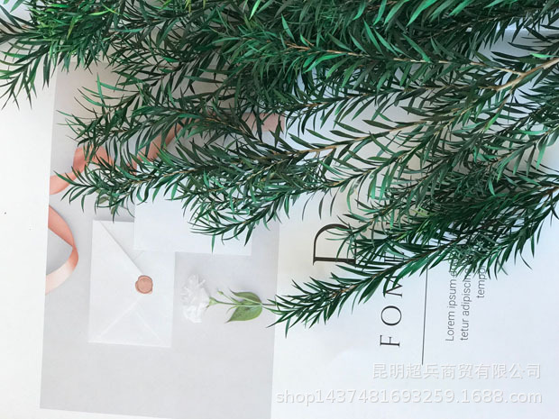 QQ图片20191224141300.jpg