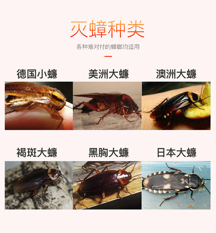红蟑详情页_23.jpg