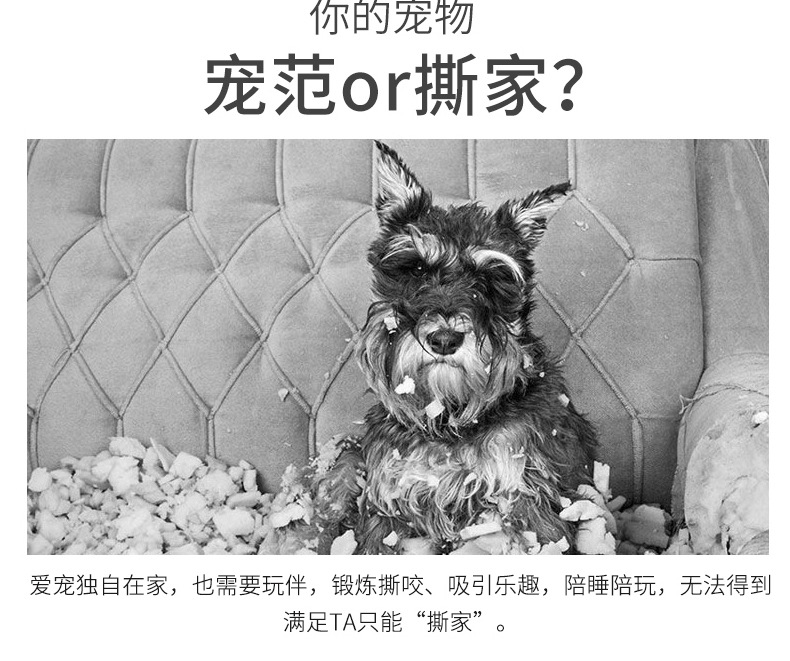 厂家批发宠物狗狗玩具法斗磨牙发泄训练灯芯毛绒猴子发声狗玩具详情21