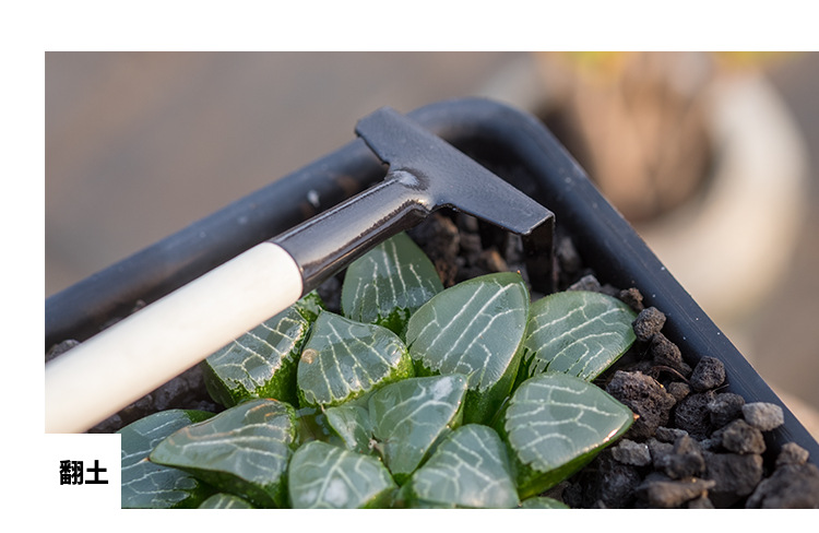 批发花园种花多肉园林种植工具套装小铁铲铁耙子园艺三件套一套起详情4