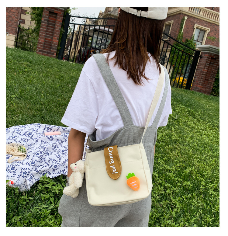 Summer new canvas bag for women, Korean-style teenage girl single-shoulder bag, ins crossbody small square bag, cute girl bag pic 24