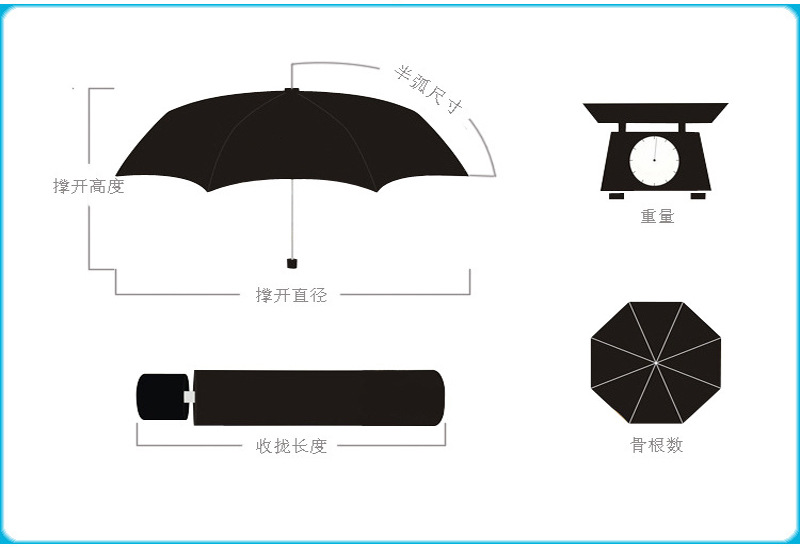 4114751284_1170786934